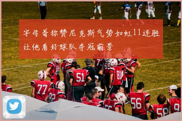 字母哥称赞尼克斯气势如虹11连胜让他看好球队夺冠前景